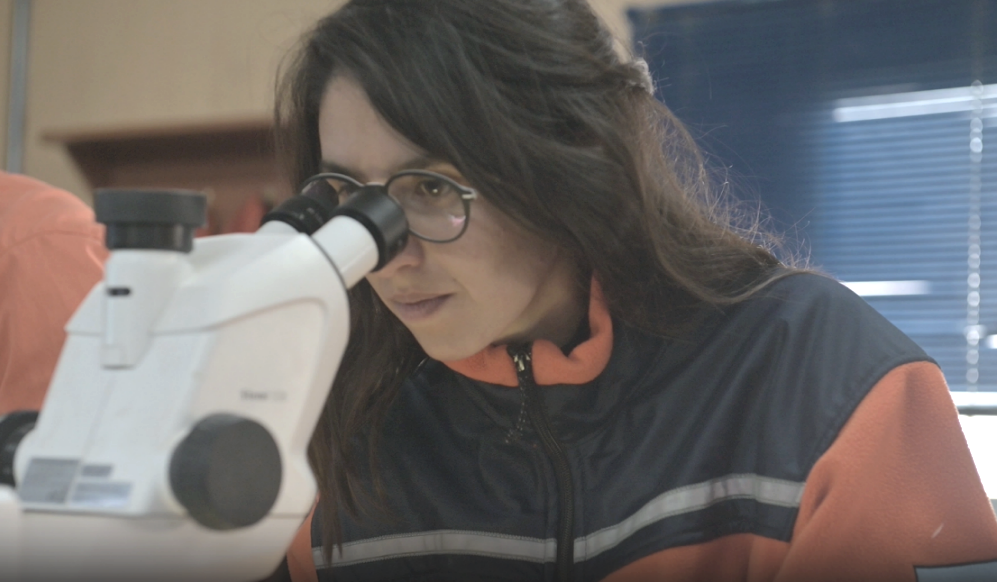 球盟会·qmh(中国)-官方网站