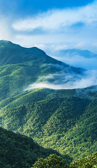 be403ed1-d58b-43c9-8f71-27f2463ec0b4