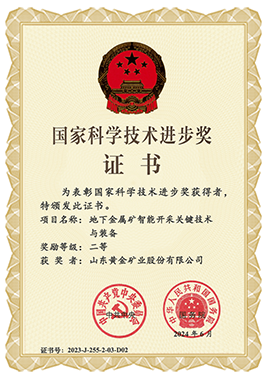 国家科学手艺前进奖